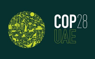 Arab Youth4COP Declaration for COP28
